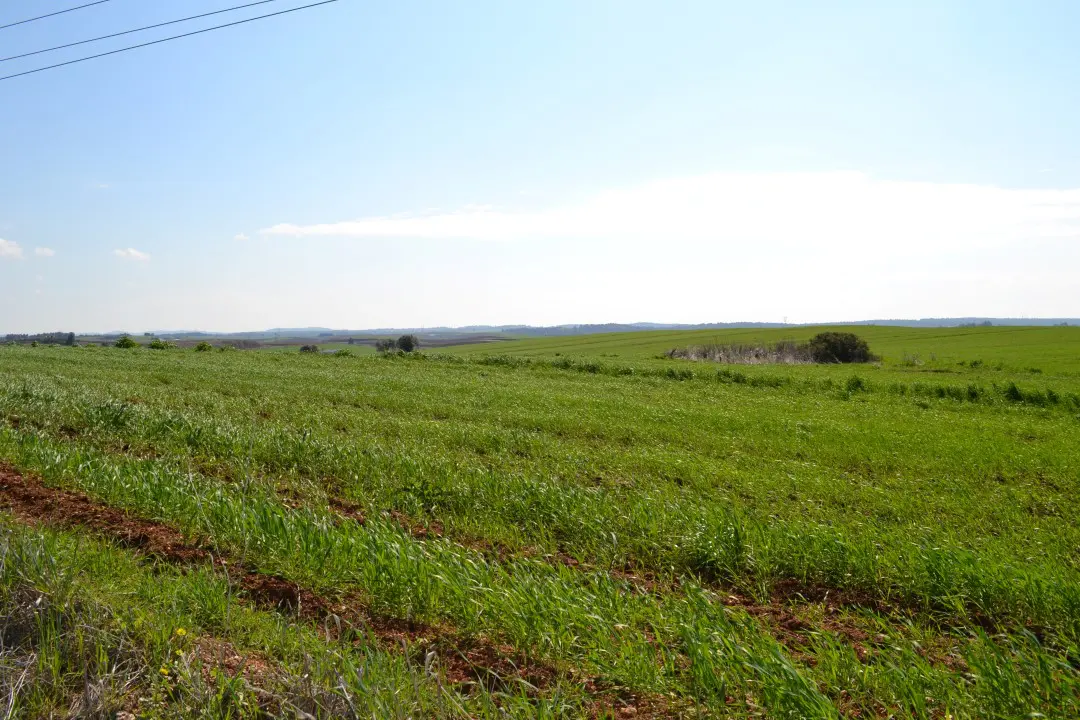 Land Of 3330 M² In Kassandra, Chalkidiki
