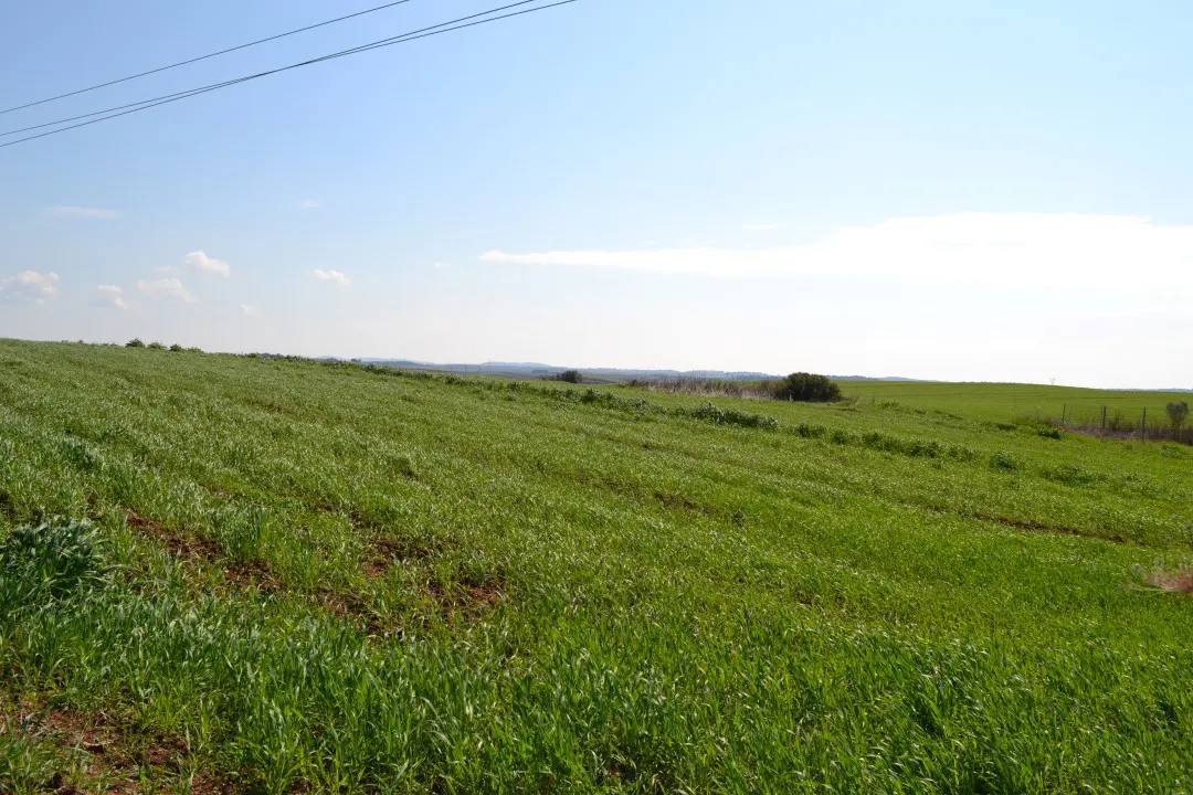 Land Of 3330 M² In Kassandra, Chalkidiki