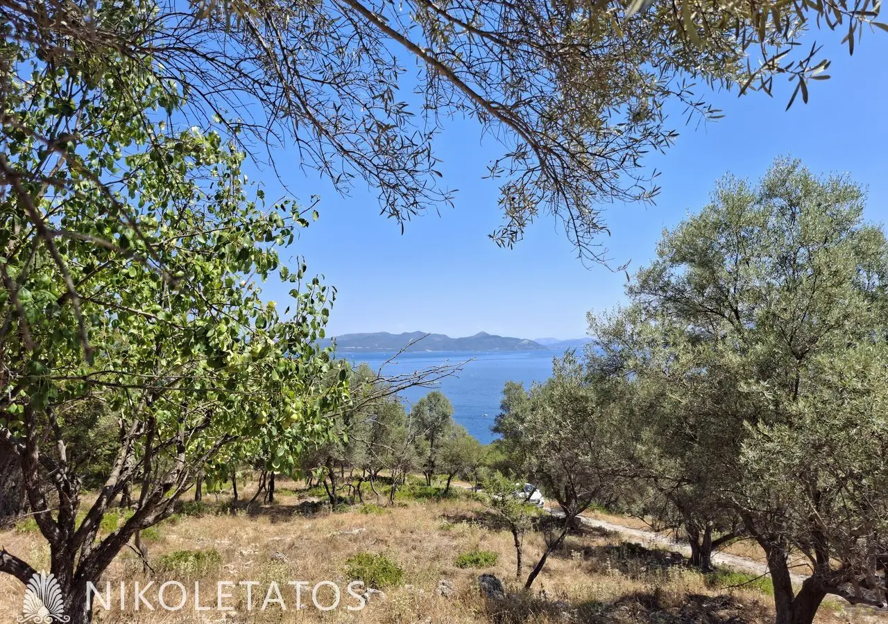 Plot Of 2500 M² In Vigla, Greece