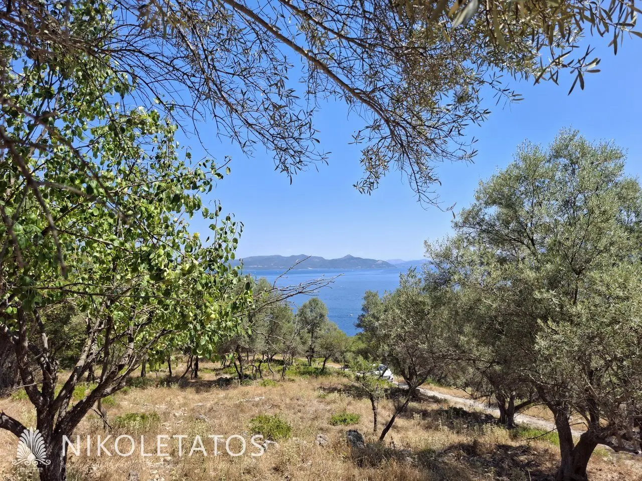 Plot Of 2500 M² In Vigla, Greece