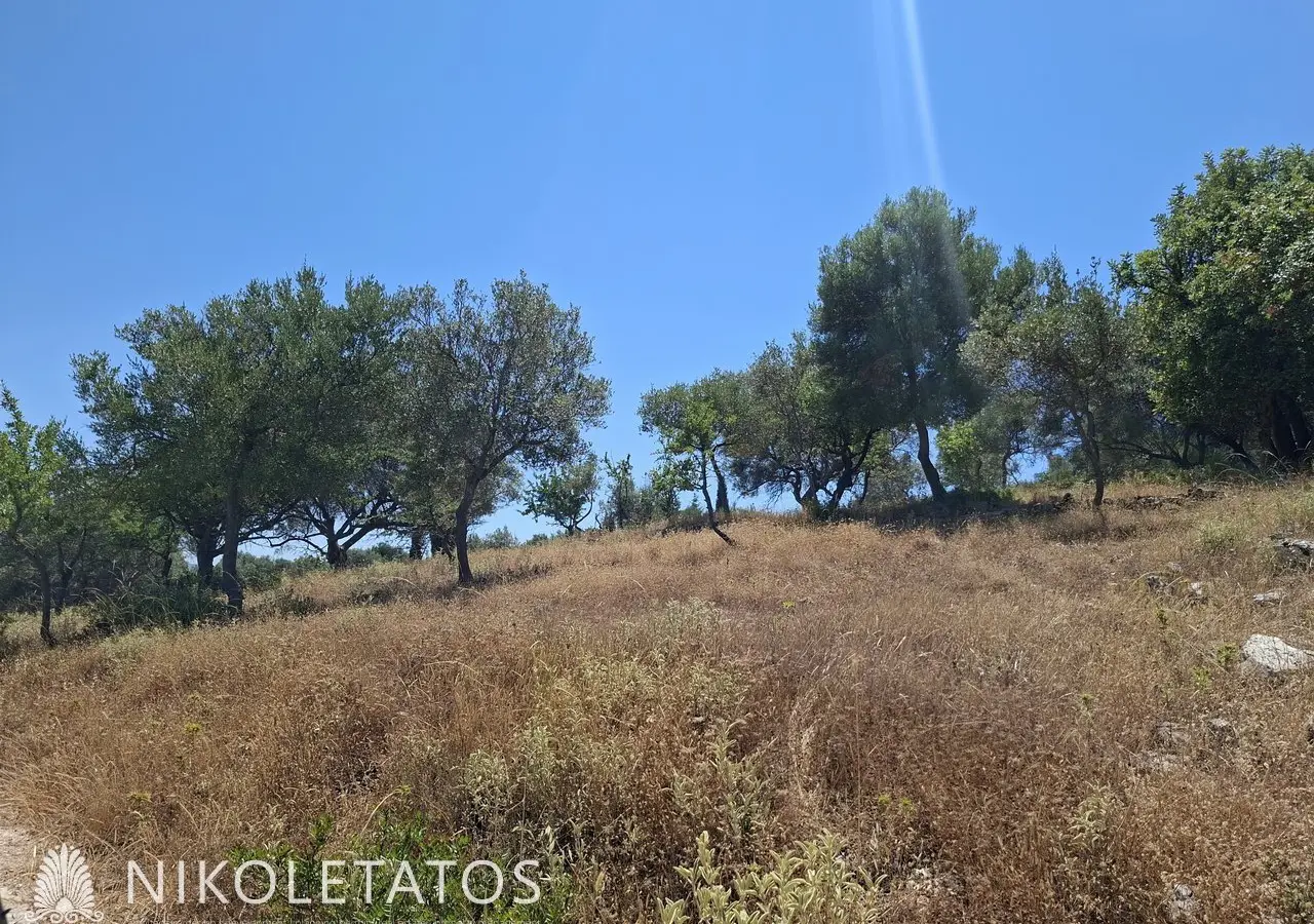 Plot Of 2500 M² In Vigla, Greece
