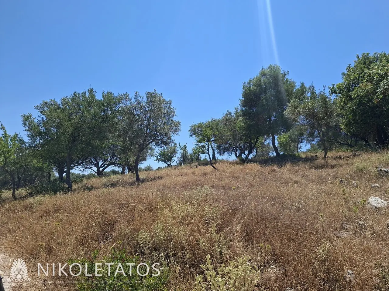 Plot Of 2500 M² In Vigla, Greece
