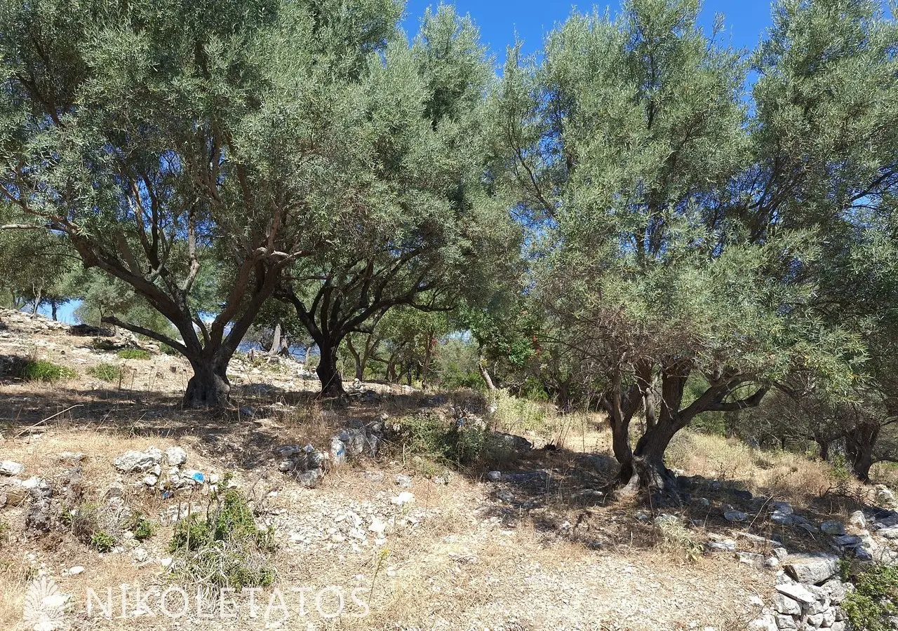 Plot Of 2500 M² In Vigla, Greece