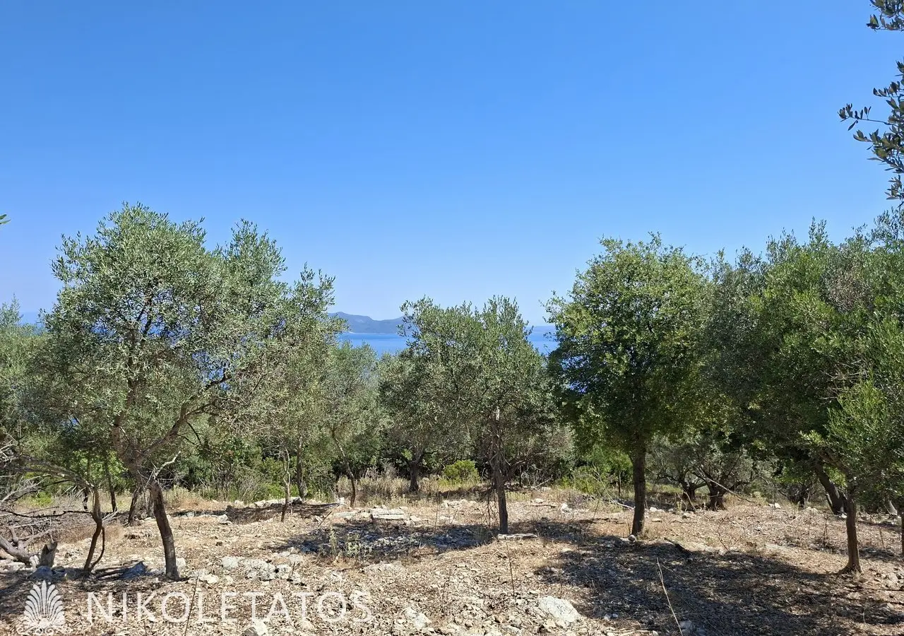 Plot Of 2500 M² In Vigla, Greece
