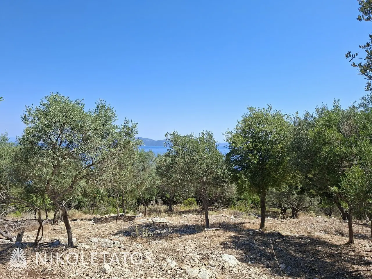 Plot Of 2500 M² In Vigla, Greece