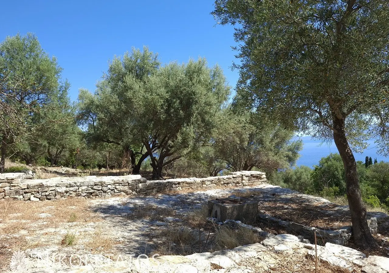 Plot Of 2500 M² In Vigla, Greece