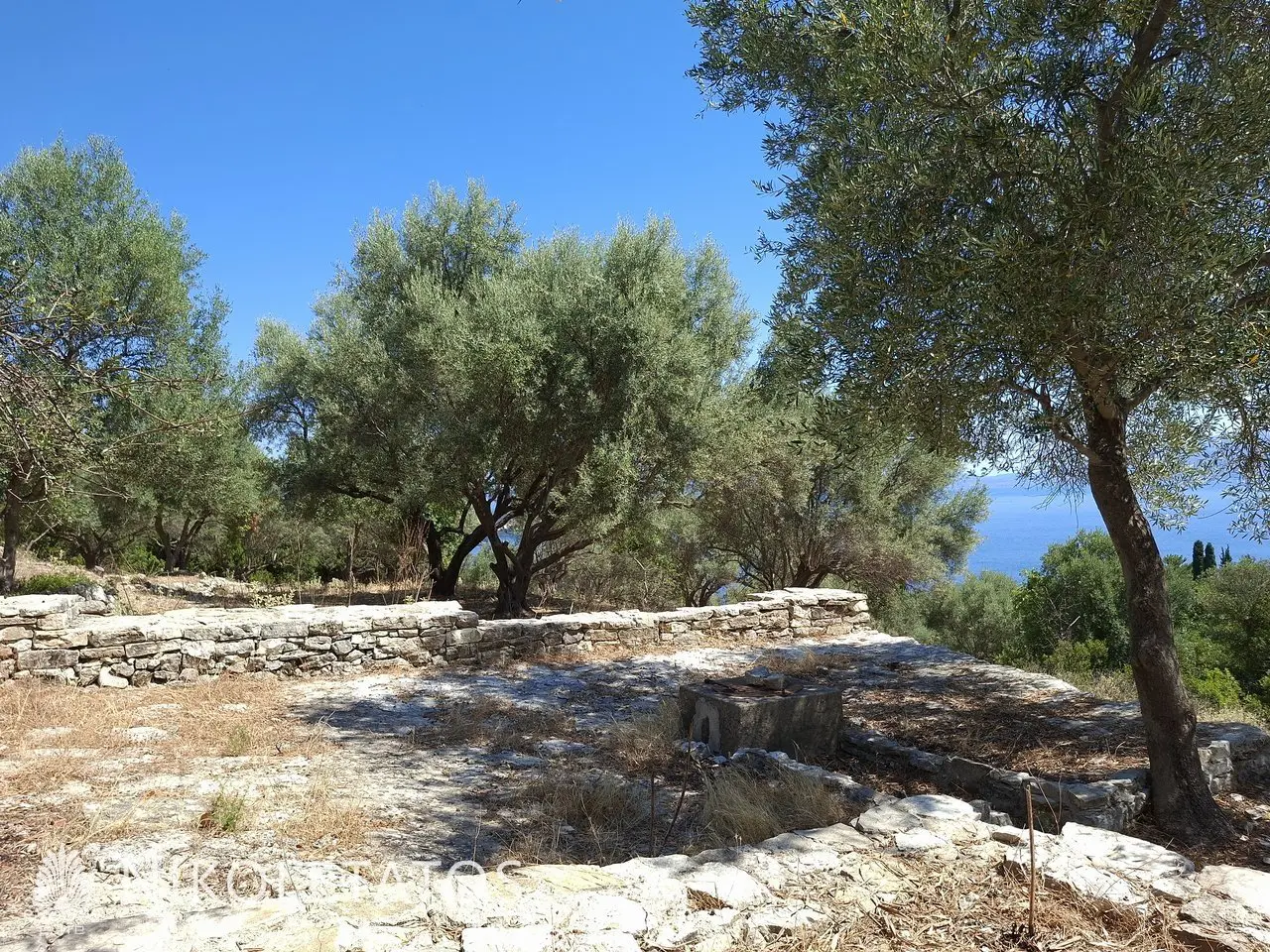 Plot Of 2500 M² In Vigla, Greece