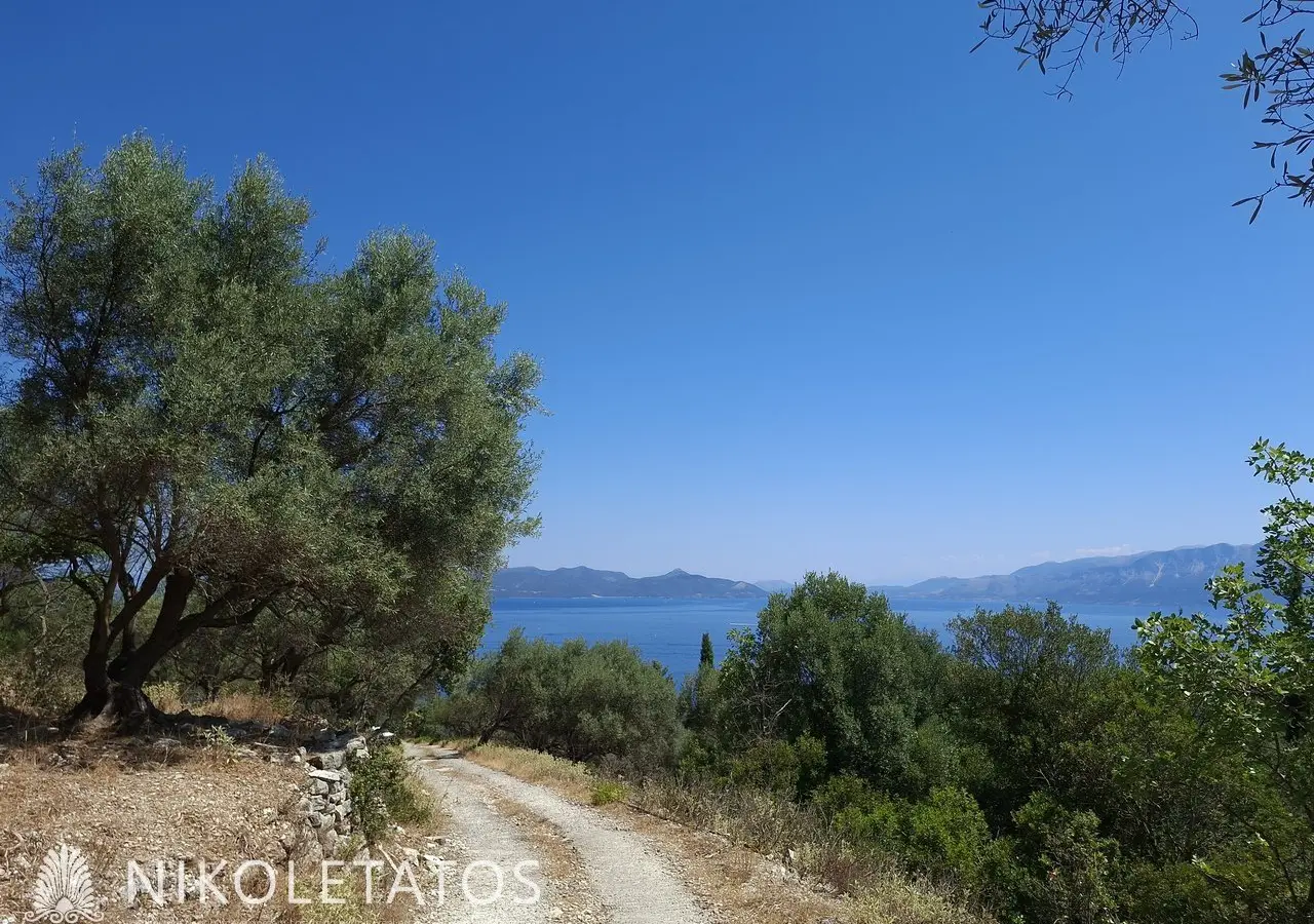 Plot Of 2500 M² In Vigla, Greece