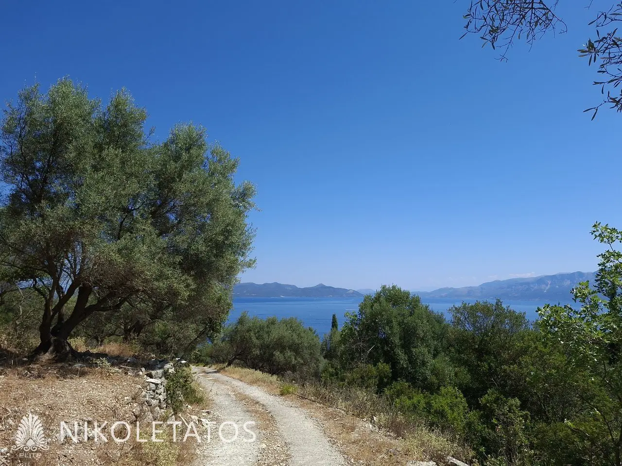Plot Of 2500 M² In Vigla, Greece