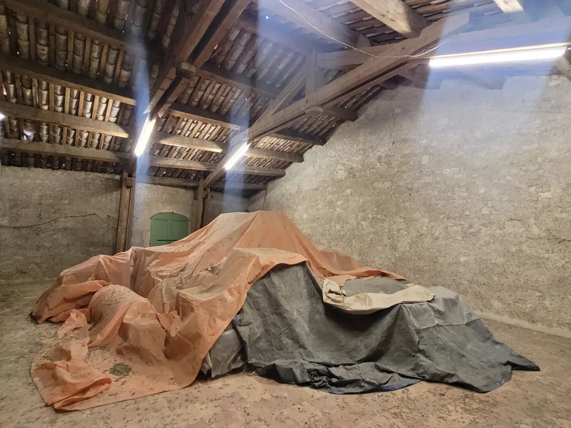 Barn In Capestang, France (110 M²)