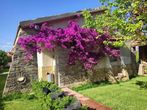 Detached House Of 130 M² In Central Greece