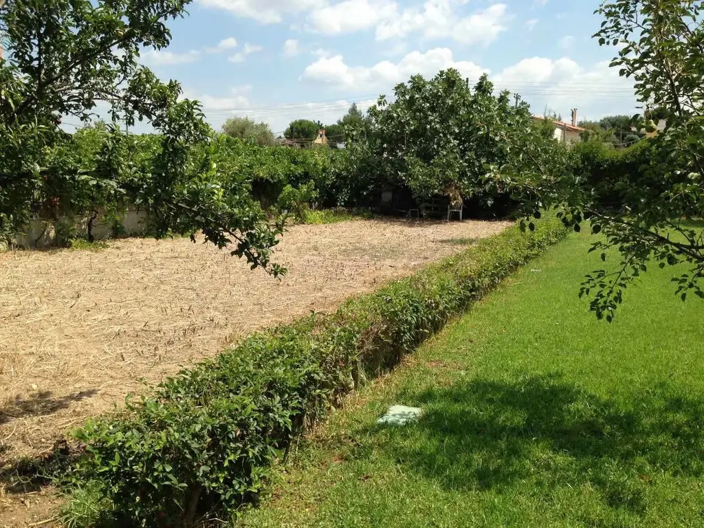 Detached House Of 160 M² In Euboea Island
