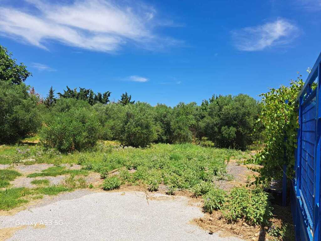 Building Of 1242 M² In The Suburbs Of Thessaloniki