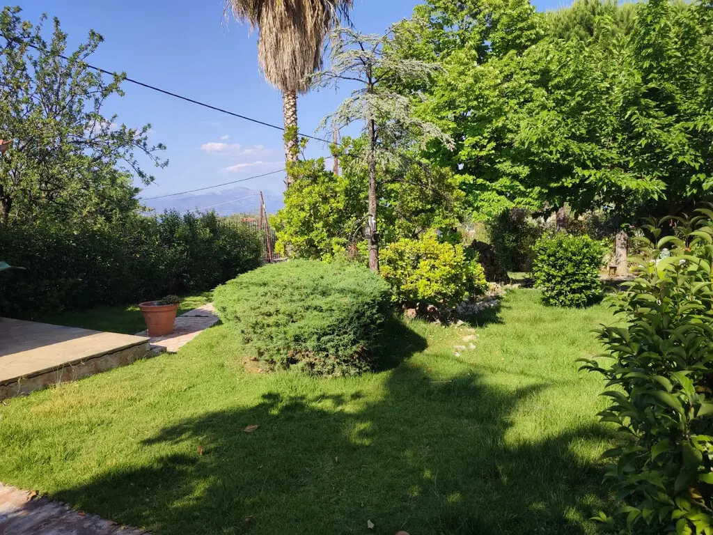 Detached House Of 130 M² In Central Greece