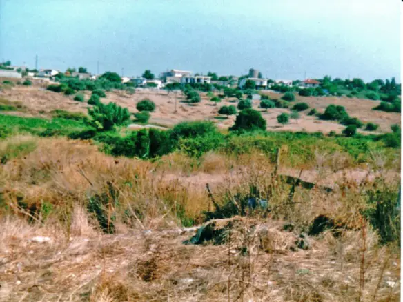 Land Of 48000 M² In Central Greece