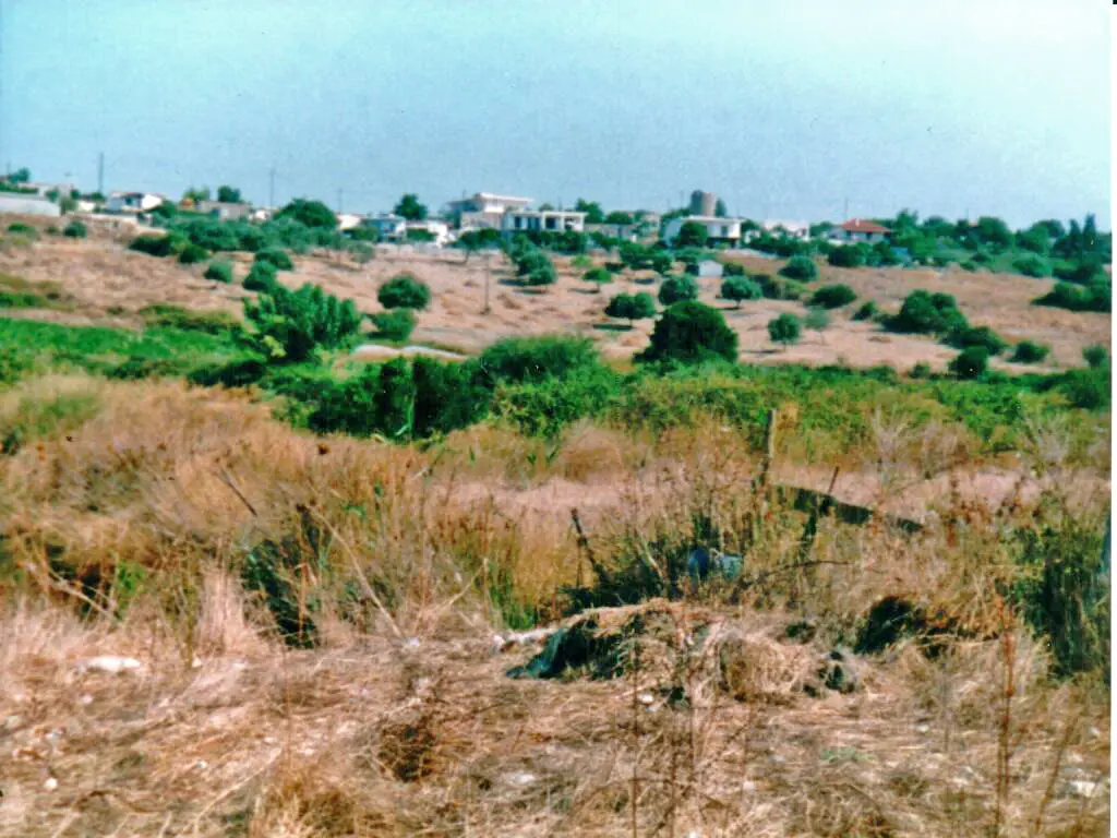 Land Of 48000 M² In Central Greece