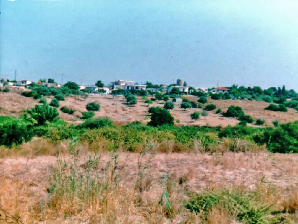 Land Of 48000 M² In Central Greece