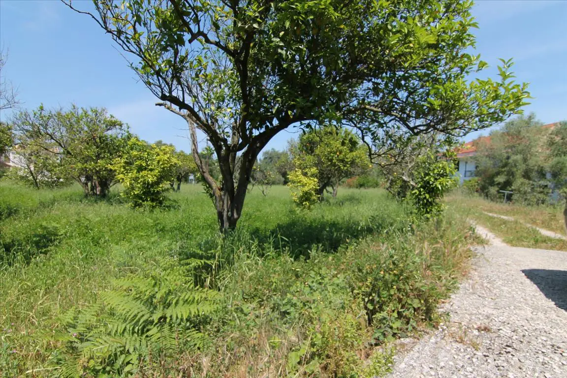 Land Of 1000 M² In Corfu