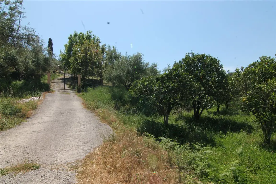 Land Of 1000 M² In Corfu