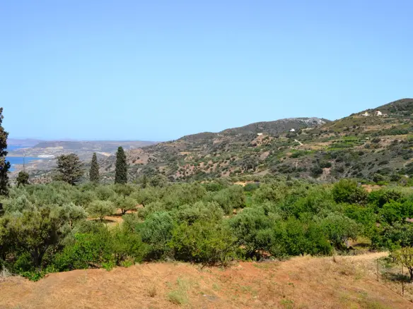 Land Of 2700 M² In Crete