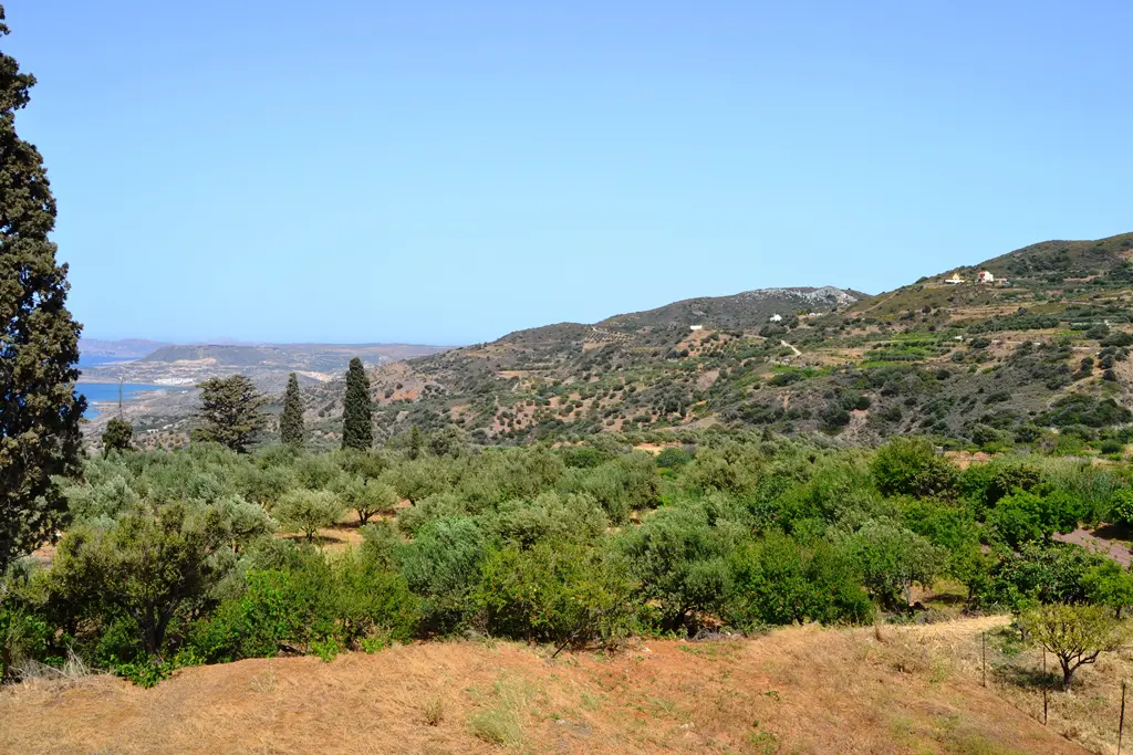 Land Of 2700 M² In Crete