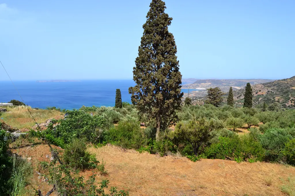 Land Of 2700 M² In Crete