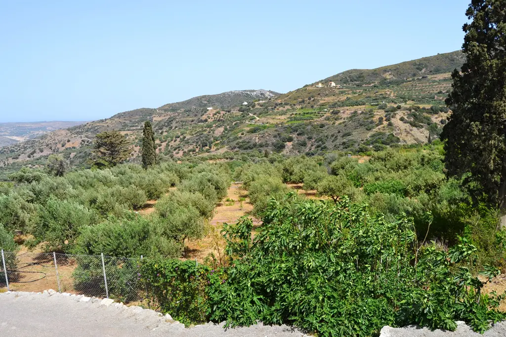 Land Of 2700 M² In Crete