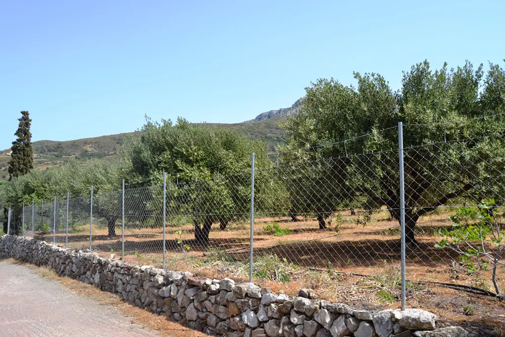 Land Of 2700 M² In Crete