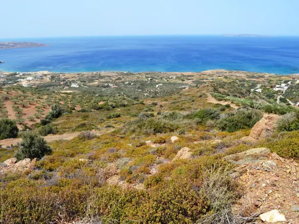 Land Of 9000 M² In Crete