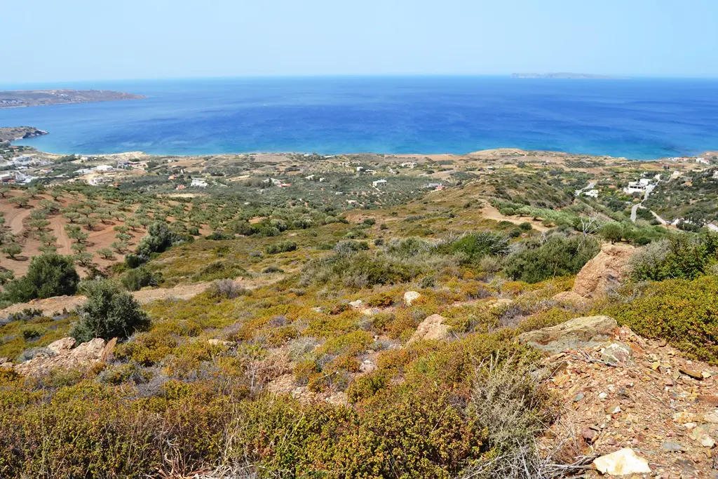 Land Of 9000 M² In Crete