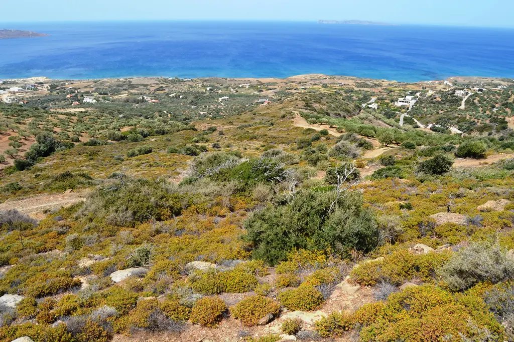 Land Of 9000 M² In Crete