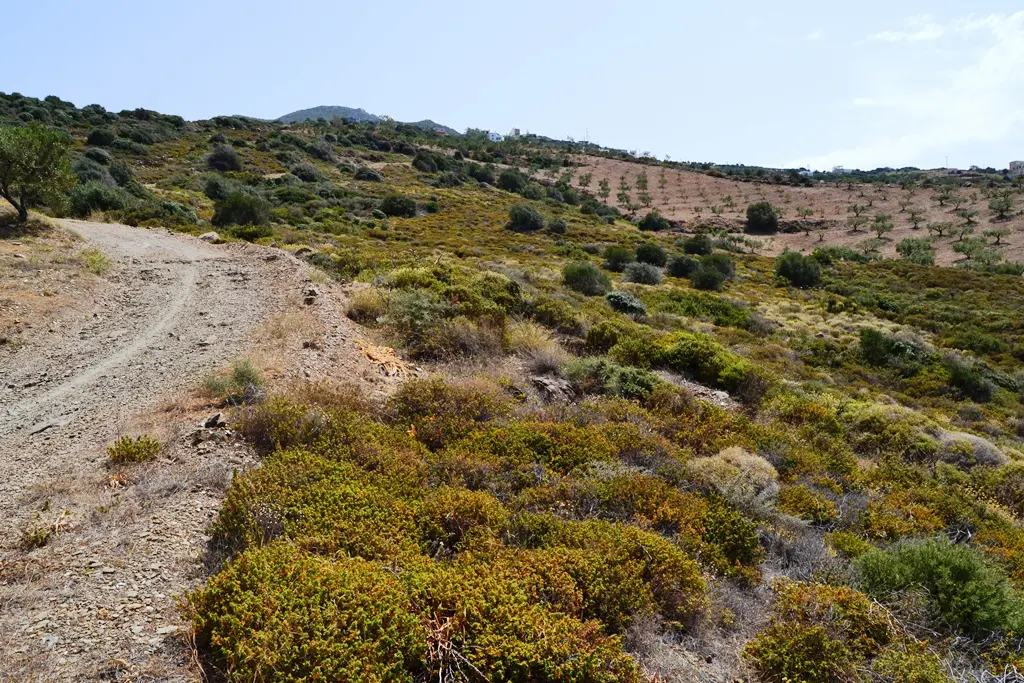 Land Of 9000 M² In Crete