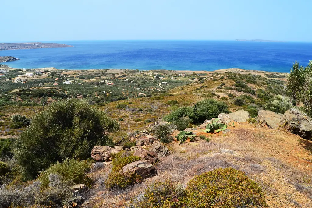 Land Of 9000 M² In Crete
