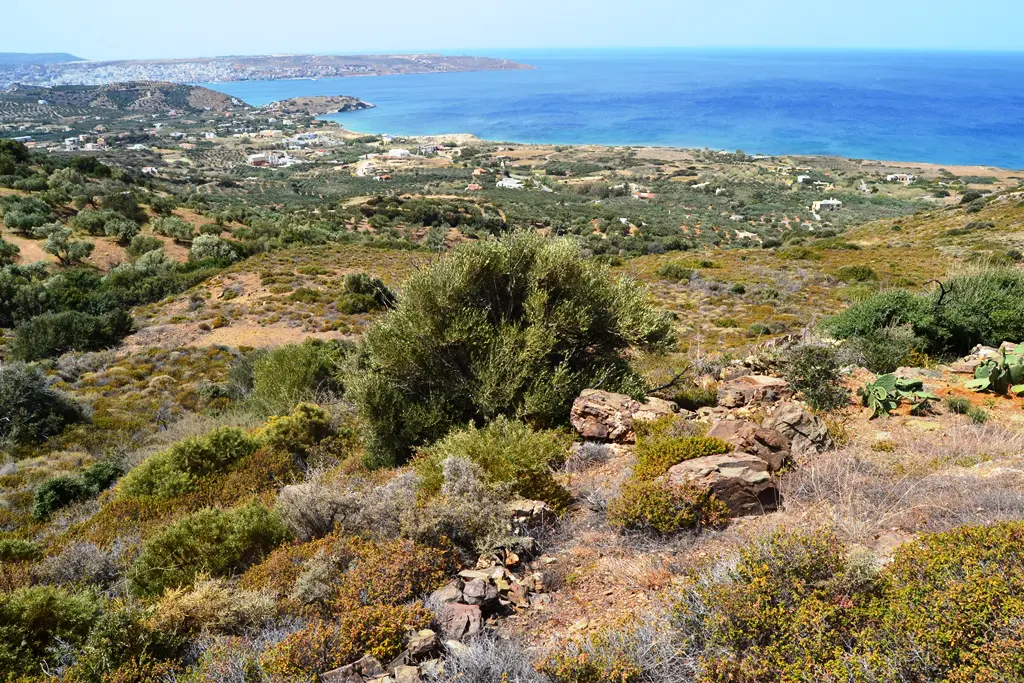 Land Of 9000 M² In Crete