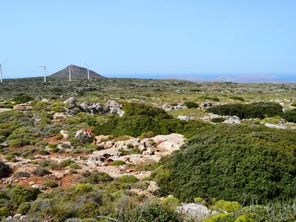 Land Of 1116000 M² In Crete