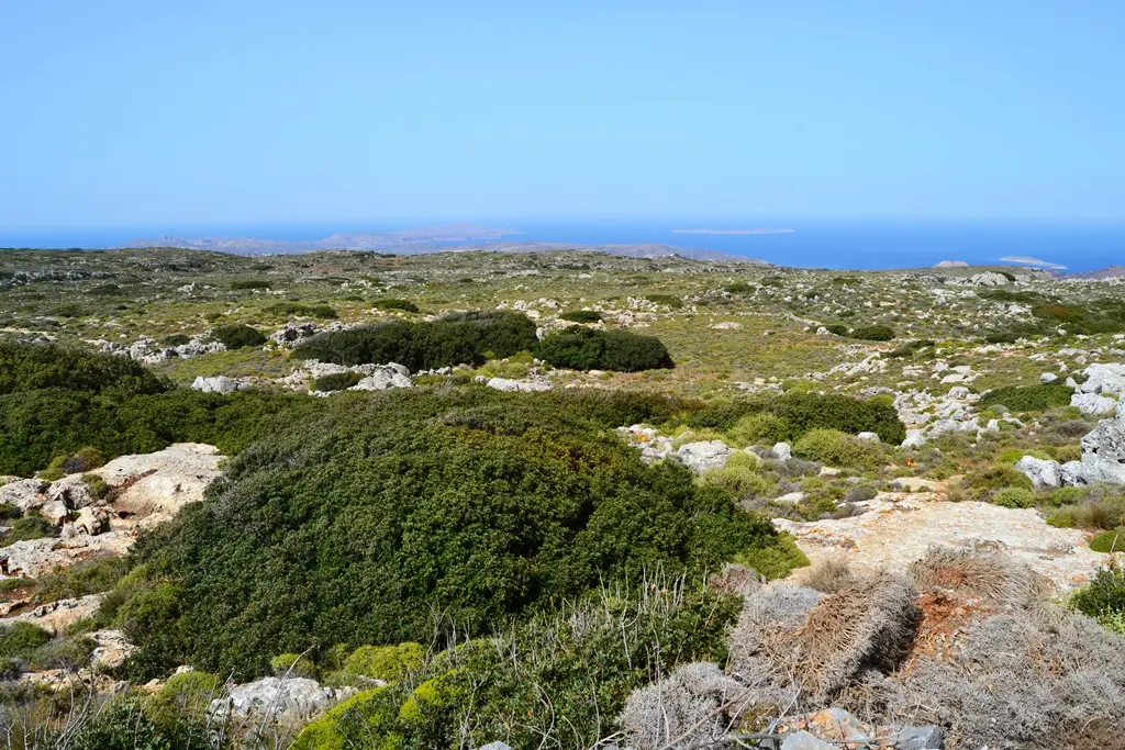 Land Of 1116000 M² In Crete