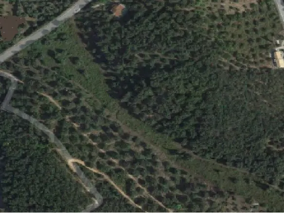Land Of 8000 M² In Corfu