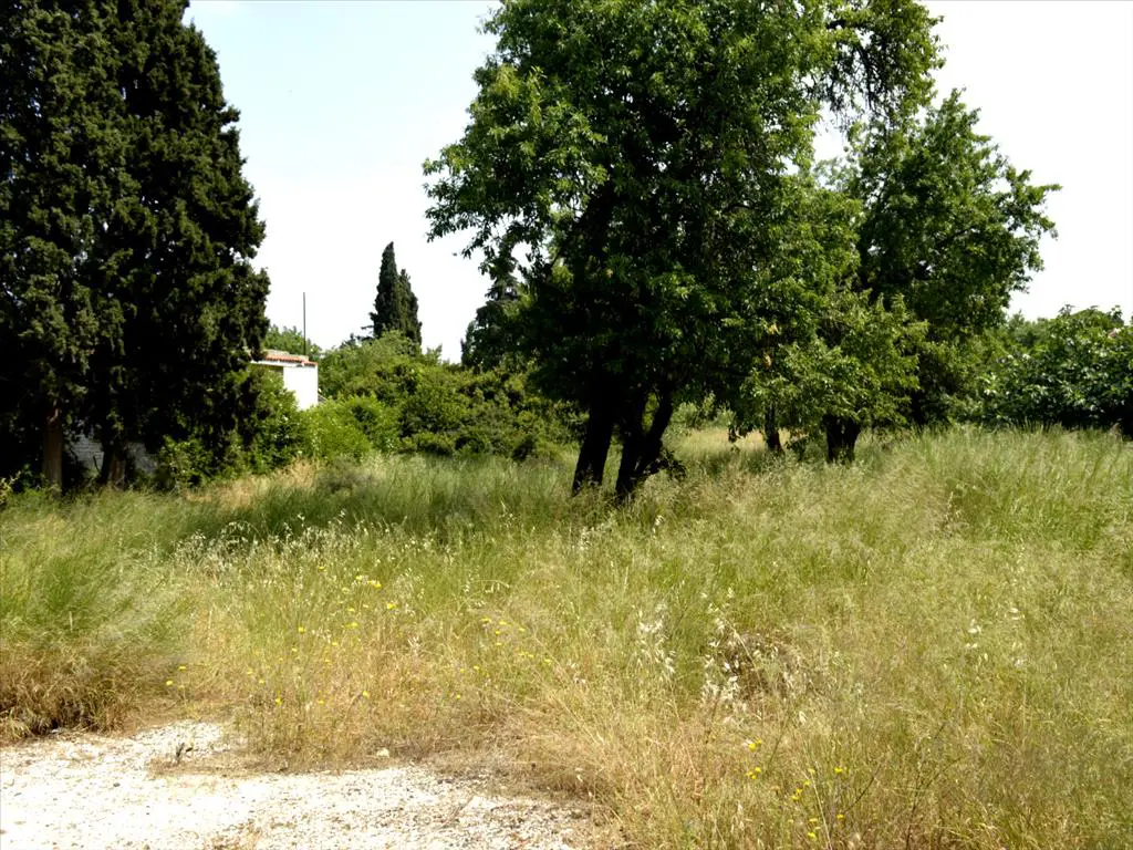 Land Of 2100 M² In Attica