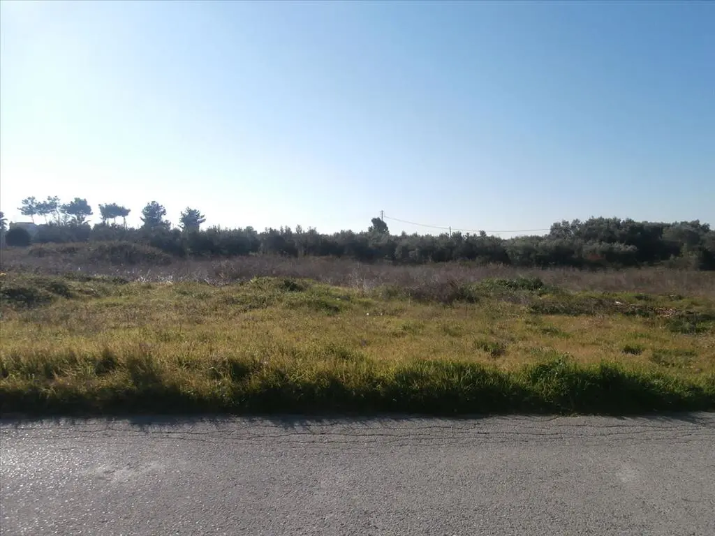 Land Of 2407 M² In Chalkidiki