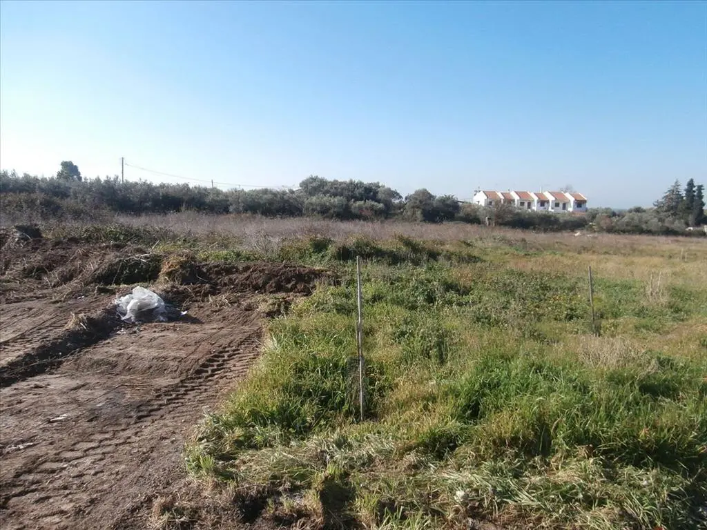Land Of 2407 M² In Chalkidiki