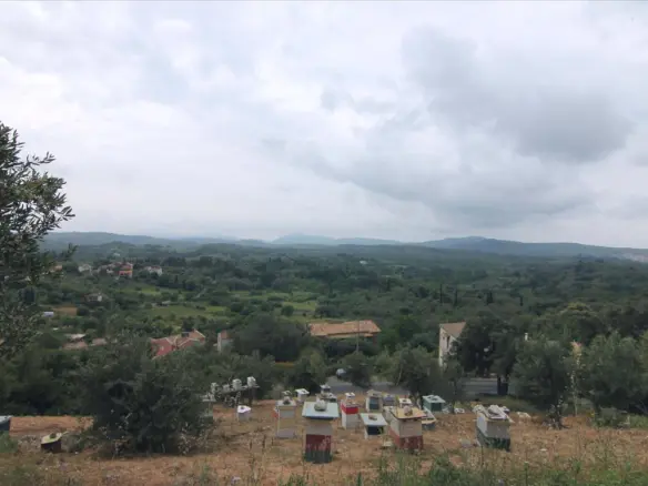 Land Of 3700 M² In Corfu