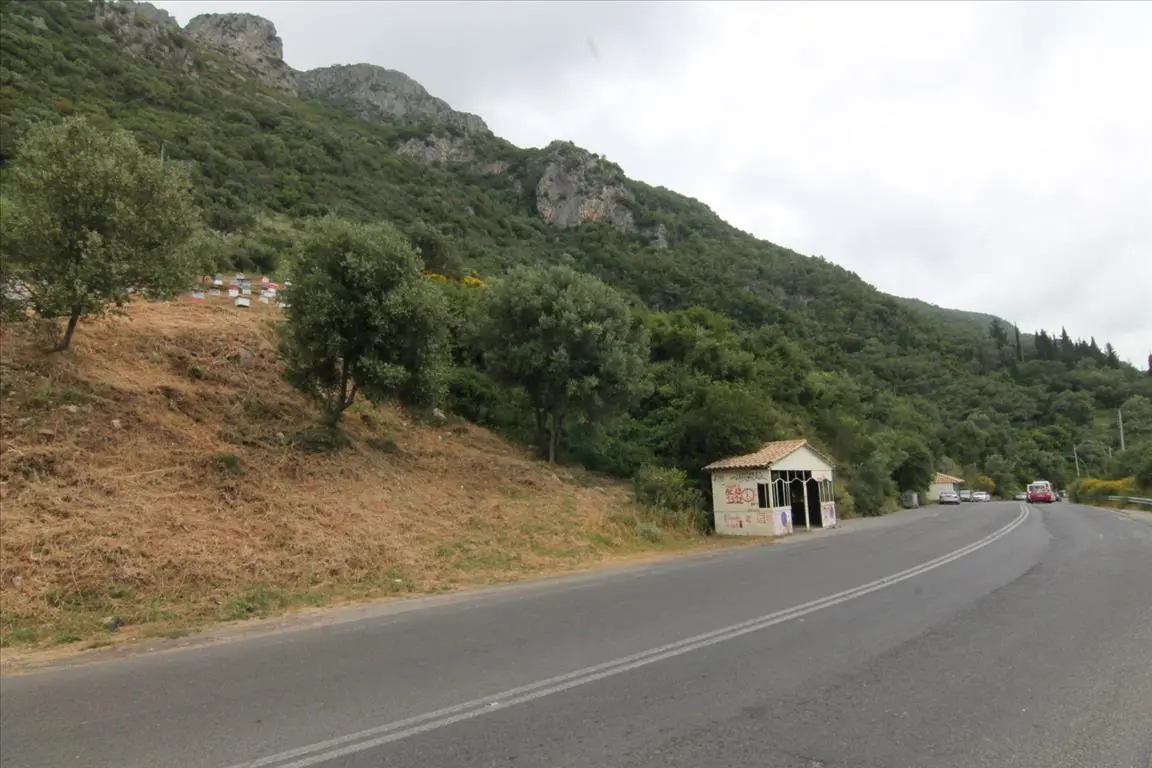 Land Of 3700 M² In Corfu