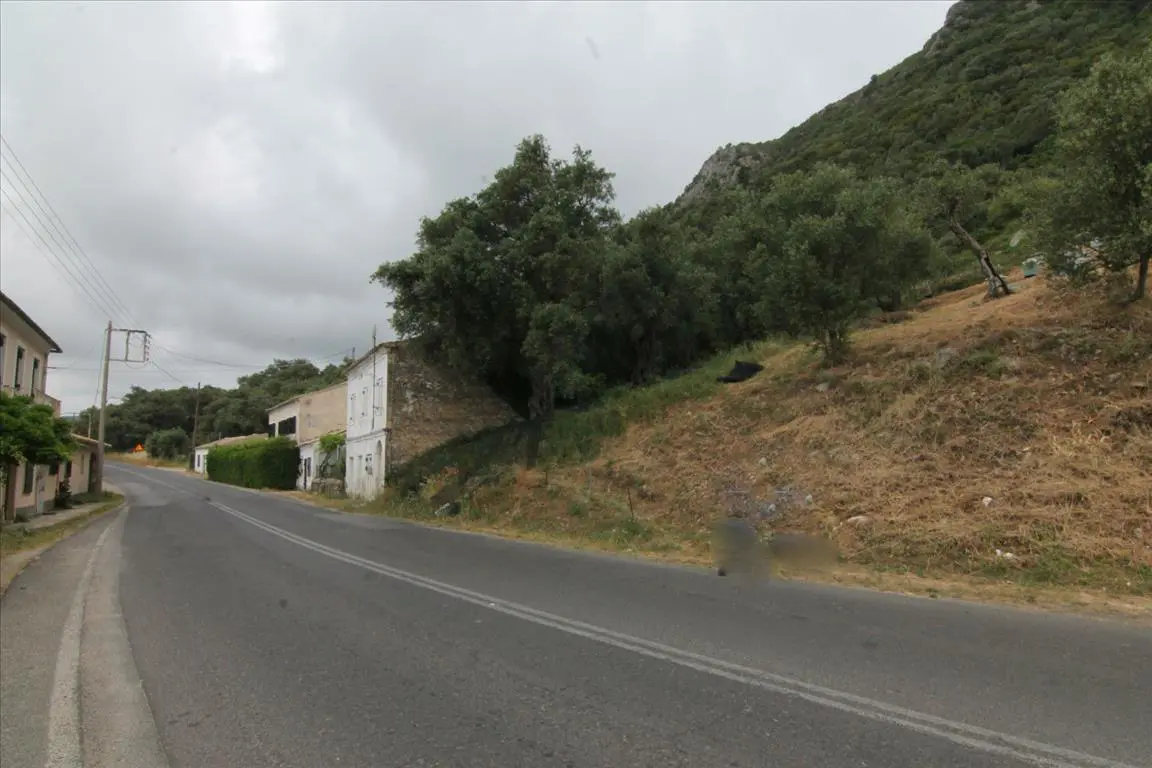 Land Of 3700 M² In Corfu