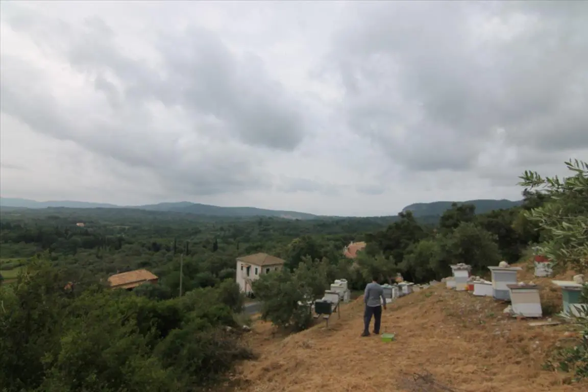 Land Of 3700 M² In Corfu