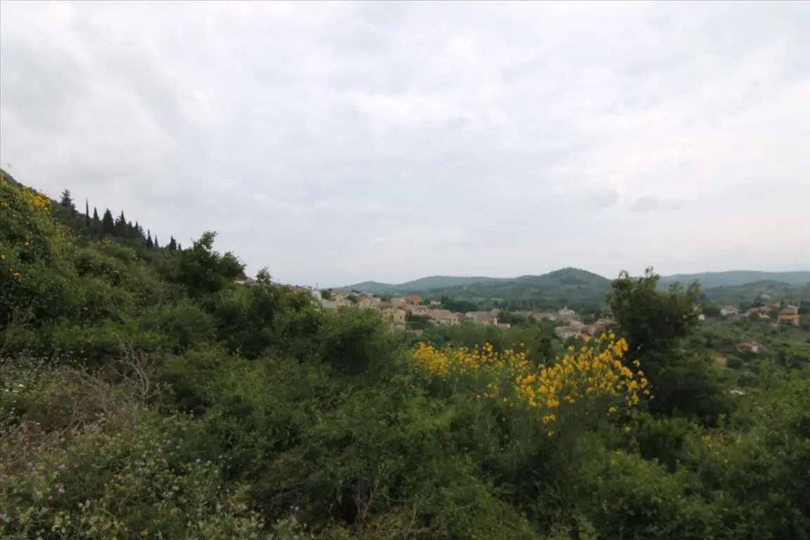 Land Of 3700 M² In Corfu