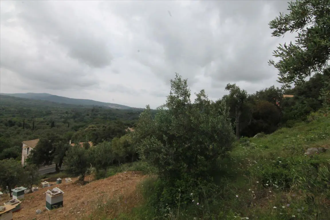 Land Of 3700 M² In Corfu