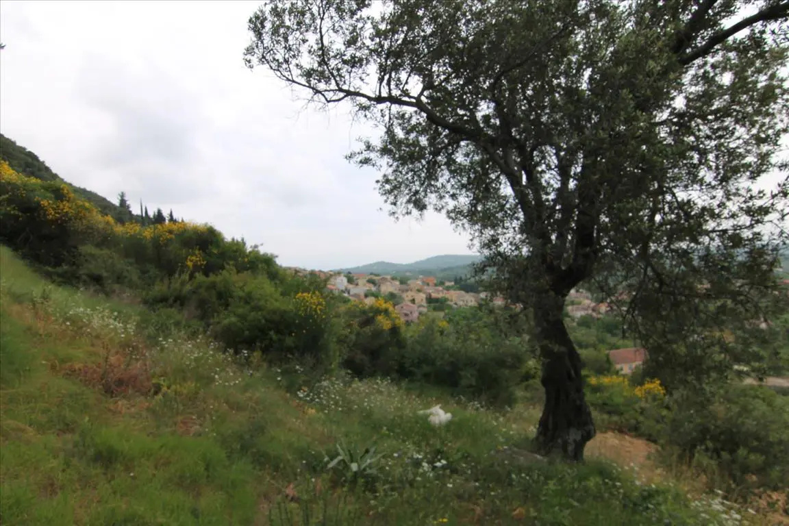 Land Of 3700 M² In Corfu