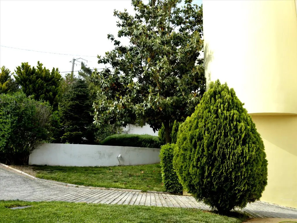 Complex Of 650 M² In Attica
