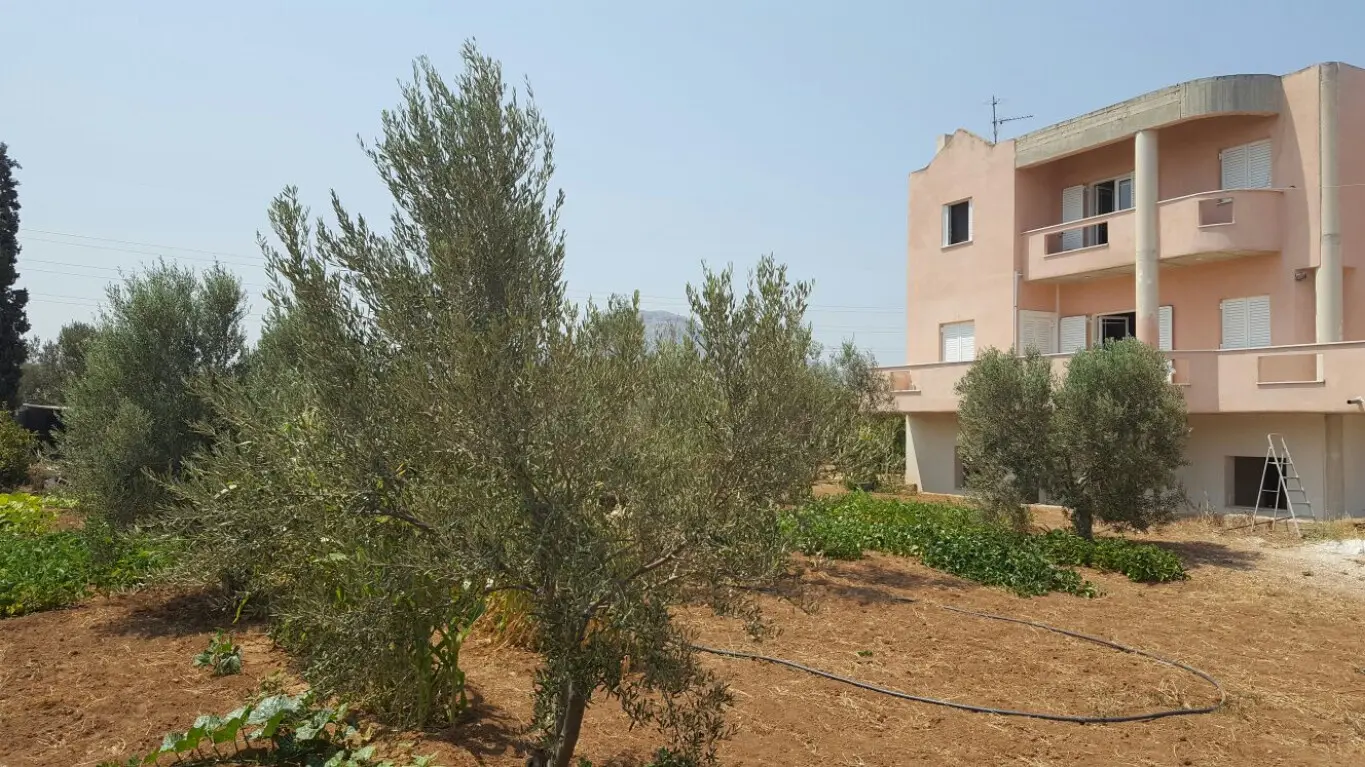 Apartment Of 130 M² In Peloponnese