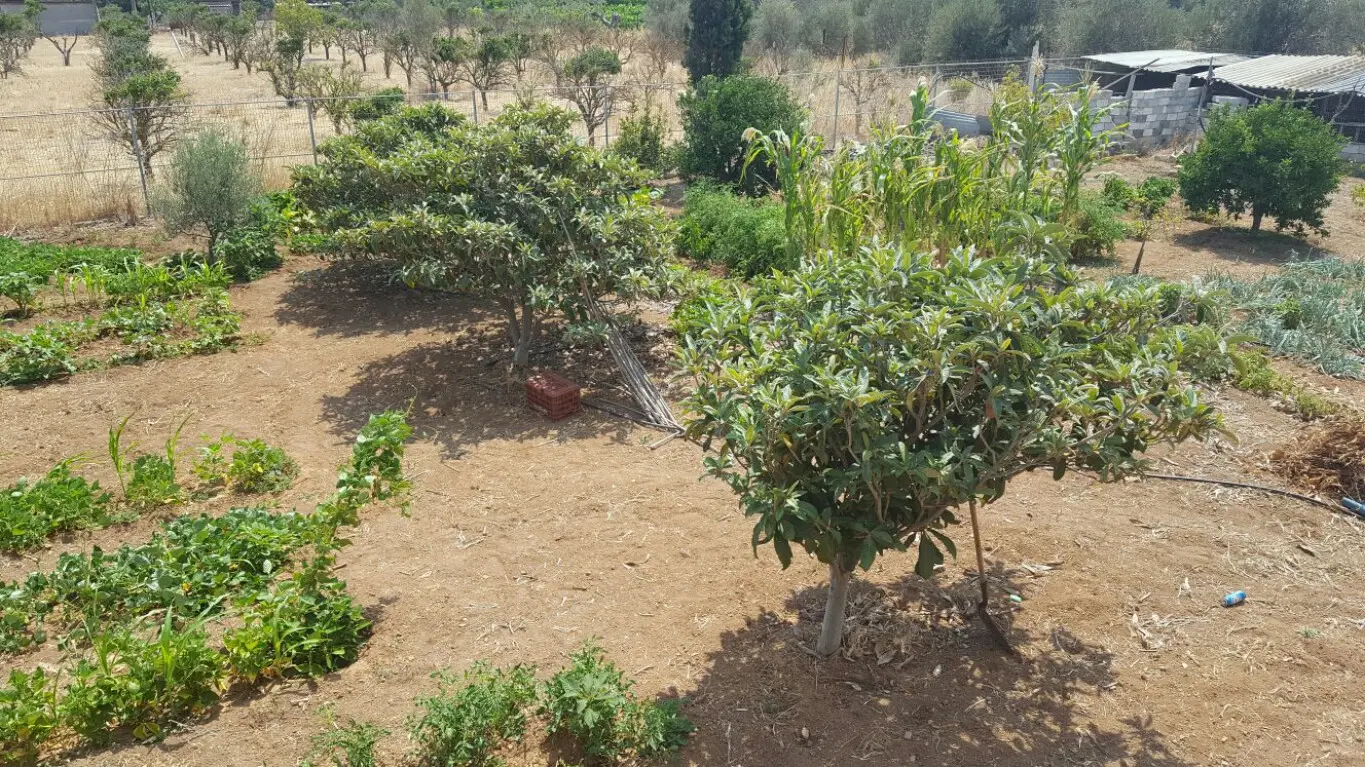 Apartment Of 130 M² In Peloponnese